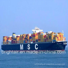 Linha barata da expedição do mar do transporte da logística de China de Guangzhou a Manzanillo México